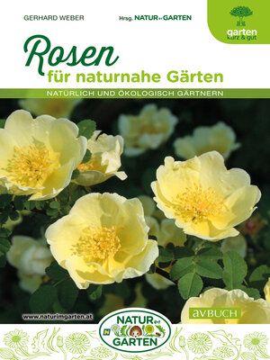 cover image of Rosen